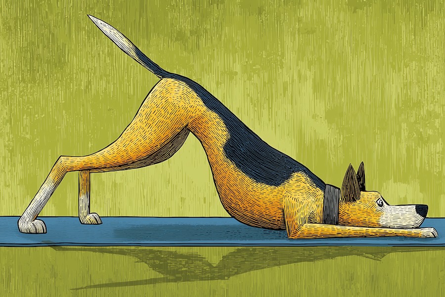 Movement Studios: How to Stand Out When You Feel Invisible Online